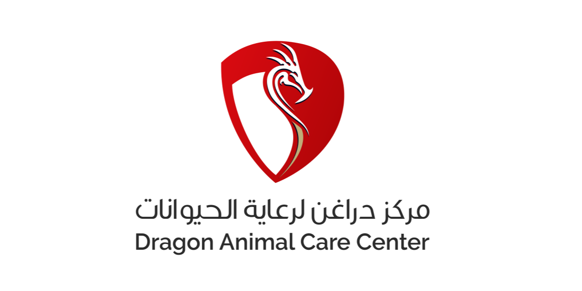خصومات الخدمات العامة – بطاقة تستاهل